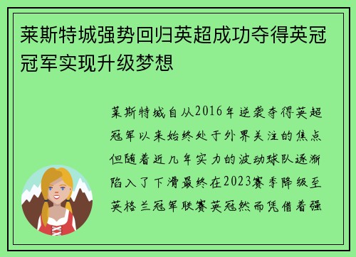 莱斯特城强势回归英超成功夺得英冠冠军实现升级梦想